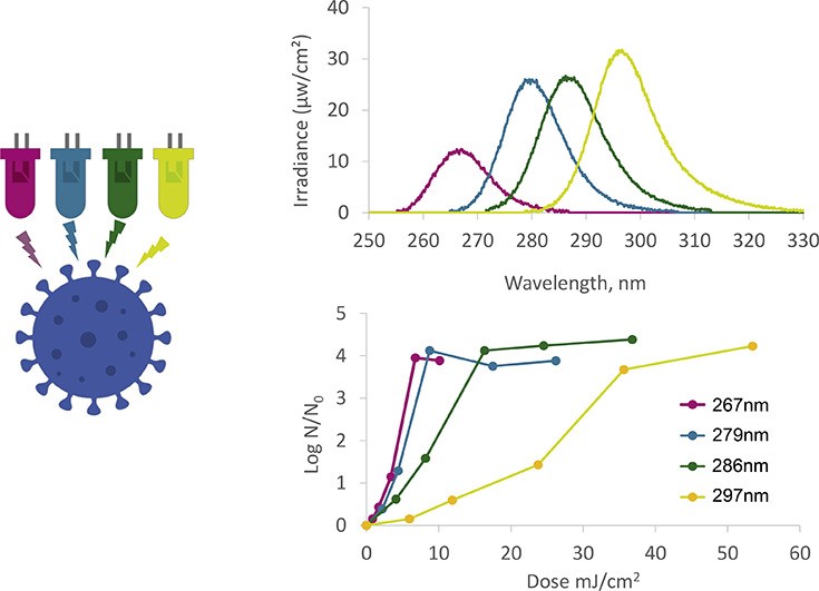התמונה מראה את היעילות של נורות לדים לחיטוי וירוס הקורונה האנושי